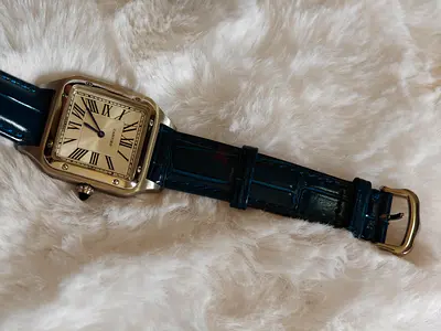 Men watch Cartier