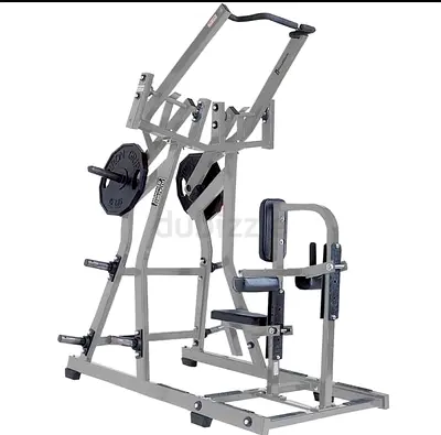 Iso Lateral Wild Back