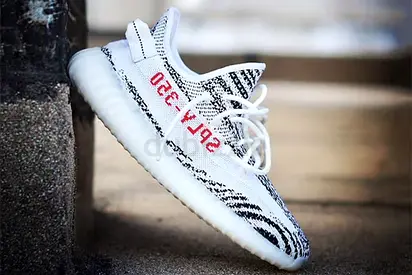 Yeezy zebra US5