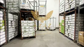 1,129.80 Sq. Ft. Chiller &amp; Cold Storage Warehouse | Industrial Area 17, Sharjah