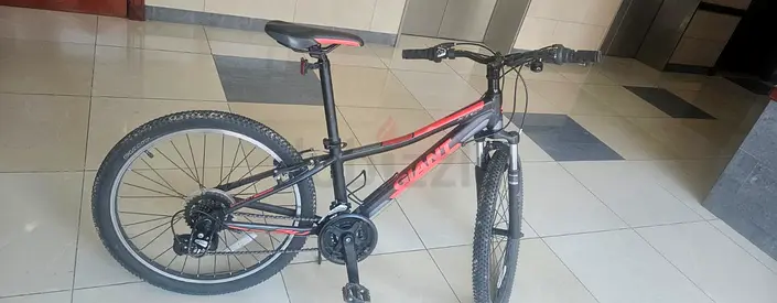 Bicycle - GIANT