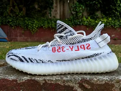 Yeezy zebra US6