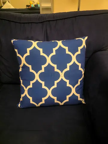 6 sofa cushions with covers