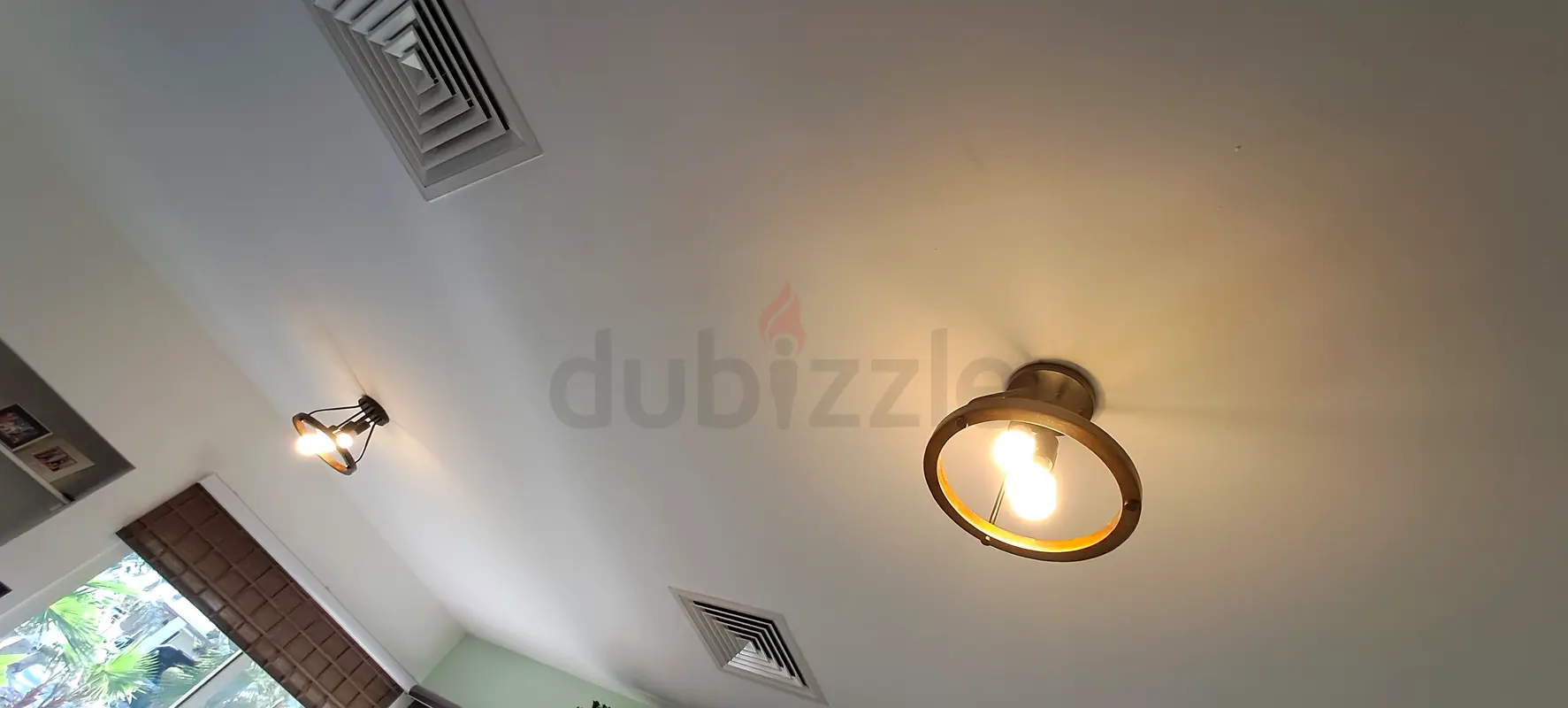 DPV_View_Image_2