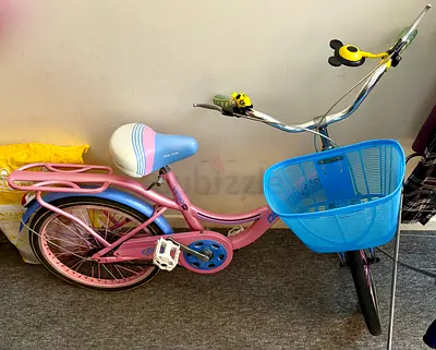 Vigo Queen Bike Size 20X1.75