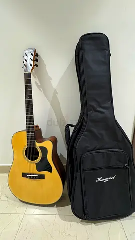Hainswood Acoustic Guitar