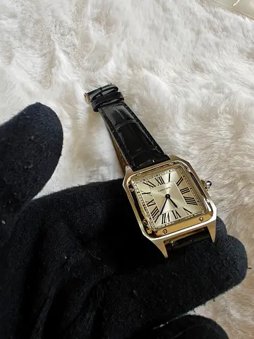 Men watch Cartier