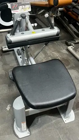Seated Calf Raise