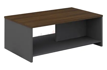 Stylish Modern Coffee Table with Storage