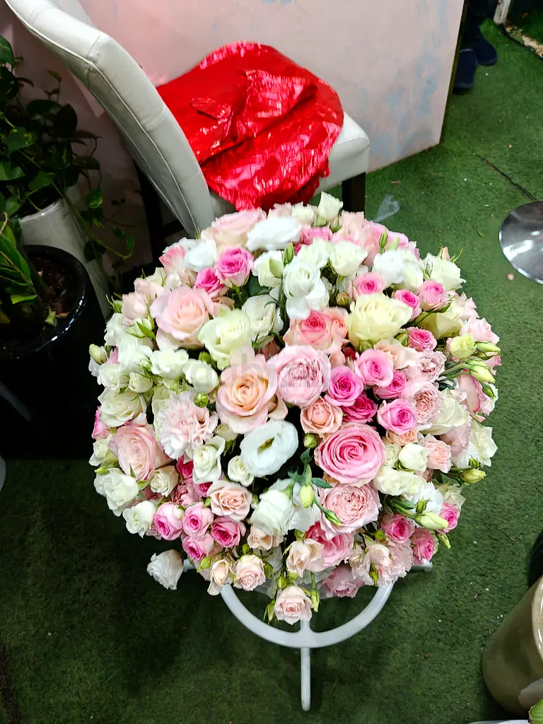 gallery-image