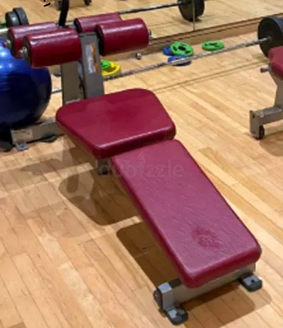 Life Fitness Adjustable Decline Bench