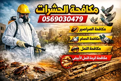 شركة مكافحة حشرات في الخبيصي – العين | أسعار منافسة