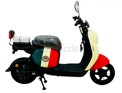 D-01 Two Seaters Brand New E-Bike with Warranty | Max Speed 70 Km/h | Anti-Theft Feature |