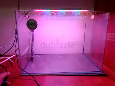 Aquarium with lights 170 dhs only