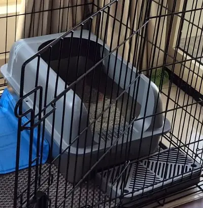 Foxoru Stainless Steel Cat Litter Box