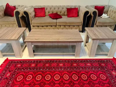 Elegant Coffee Table Set