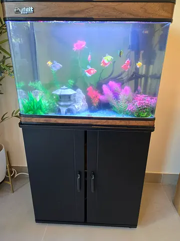 Stylish Aquarium with Stand