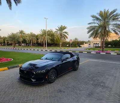 2025 FORD MUSTANG 照片 6