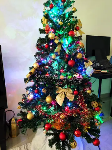 Christmas Tree with accessories