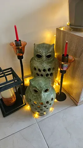 Unique Owl Decorative Accessories