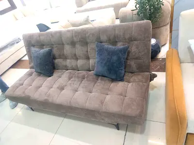 Cozy and Stylish Sofa Bed with Cushions