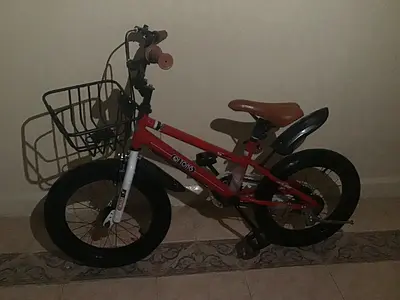 Boys bicycle