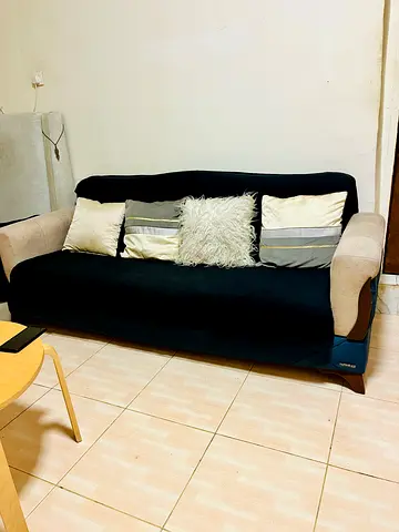 Comfortable Sofa with Stylish Pillows