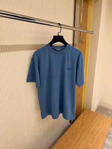 Blue Casual T-Shirt