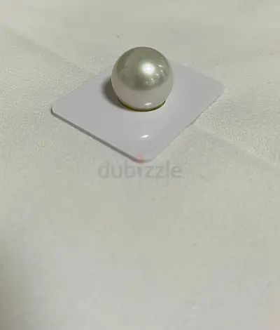 لؤلؤة بحر الجنوب – حجم كبير - Loose Pearl