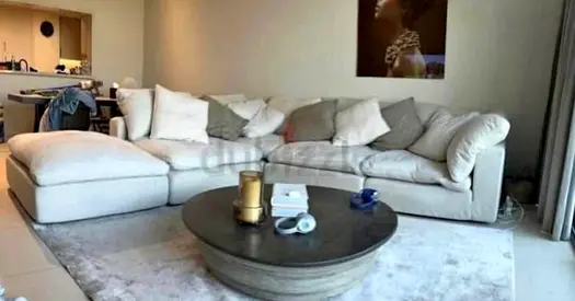 Luscious Marina Home Feather 🪶 filled modular sofa