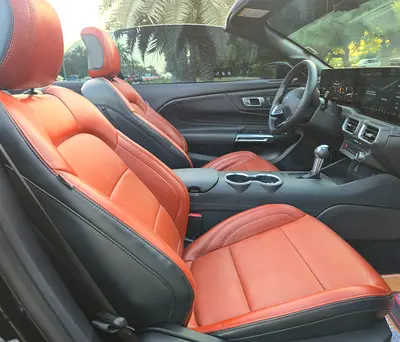 2025 FORD MUSTANG 照片 10