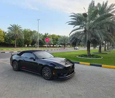 2025 FORD MUSTANG 照片 7