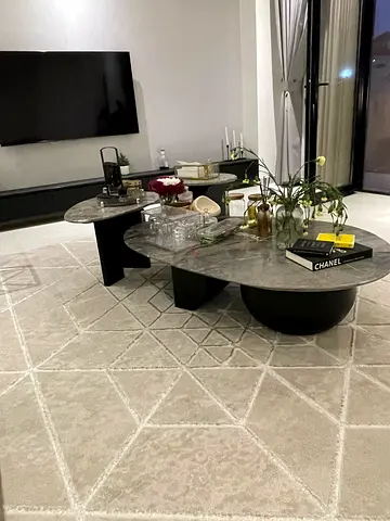 Elegant Geometric Area Rug for Your Modern Home