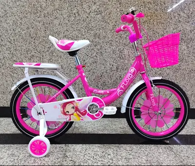 Girls Bicycle 16 - Brand New