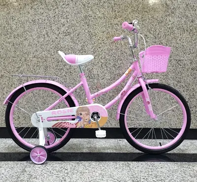 Girls Bicycle 20 - Brand New