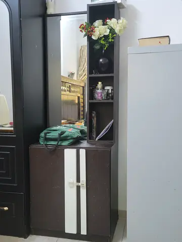 Elegant Dressers with Mirror and Storage