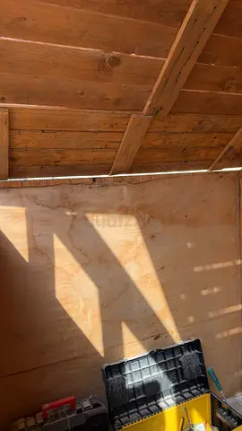 Spacious Rustic Shed with Natural Light