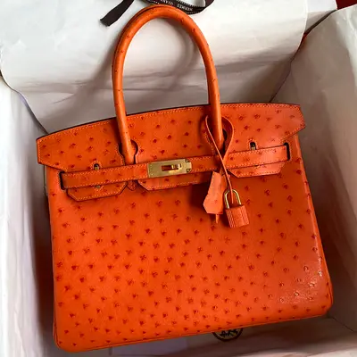 Hermes Birkin 30 Retourne In Orange Ostrich Leather