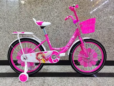 Girls Bicycle 20 - Brand New