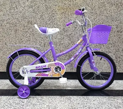 Girls Bicycle 16 - Brand New