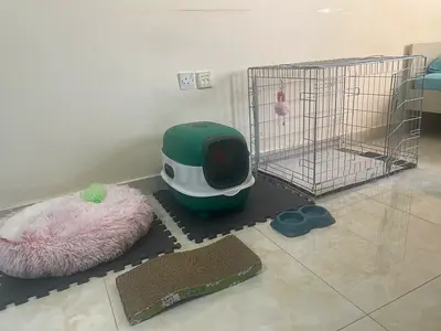 Cat cage and litter box and more