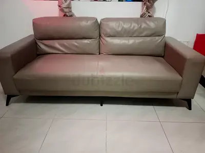 Comfortable Two-Seater and single Sofa set