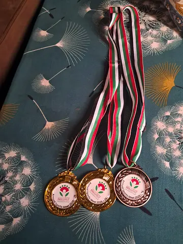 Celebrating Achievement: Set of 3 Medals with Ribbon