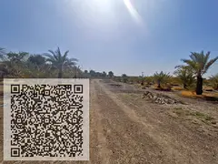 Premium G+2 Freehold Townhouse Plot | 15-Months Payment Plan | Manama Ajman