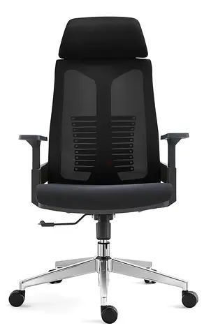 Ergonomic Office Chair with Adjustable Features