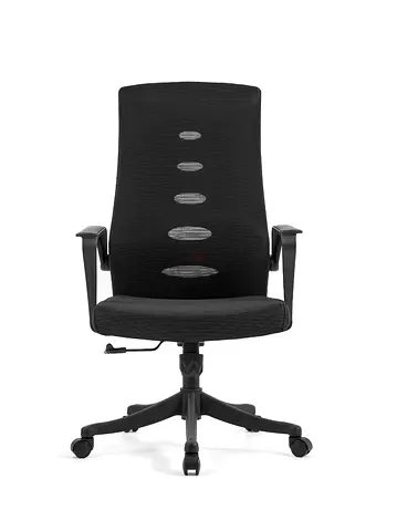 Ergonomic Office Chair for Comfort and Style