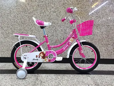 Girls Bicycle 16 - Brand New