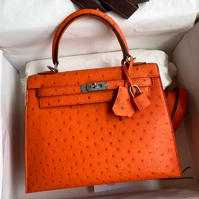 Hermes Kelly Sellier 25 In Orange Ostrich Leather