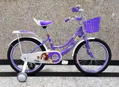 Girls Bicycle 20 - Brand New