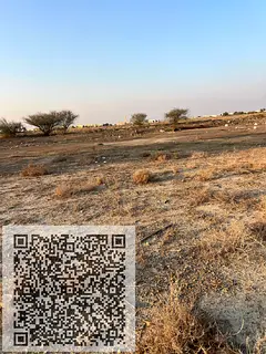 Premium G+2 Freehold Townhouse Plot | 15-Month Payment Plan | Manama Ajman